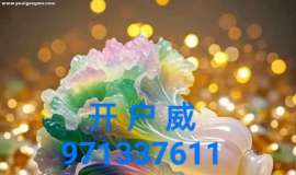 维971337611 腾龙公司现场负责人办理会员账号流程