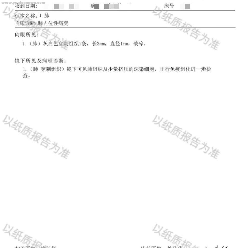 初步病理.jpg